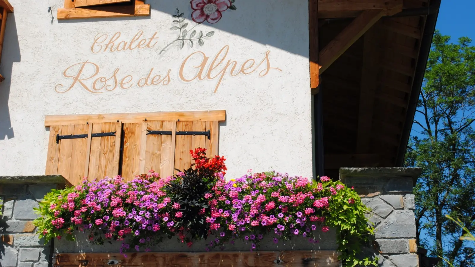 nom rose des alpes