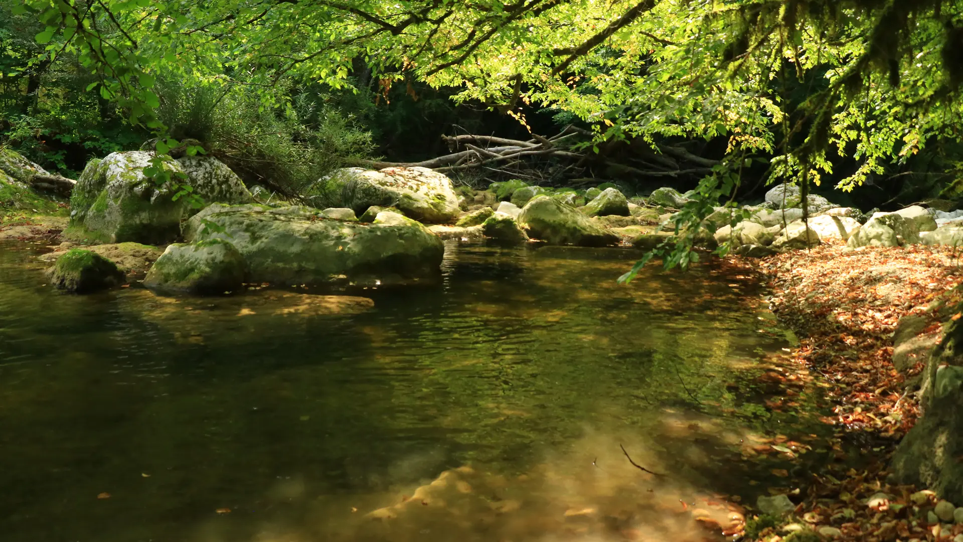 Gorges de Thurignin