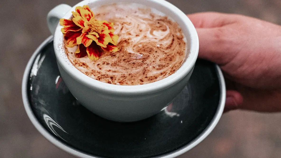 Le Brisant_Montauban