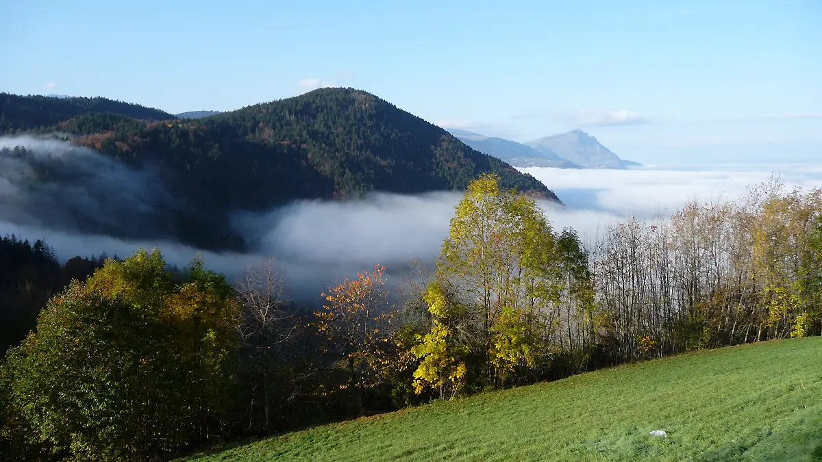 Vue sur l'activité en automne