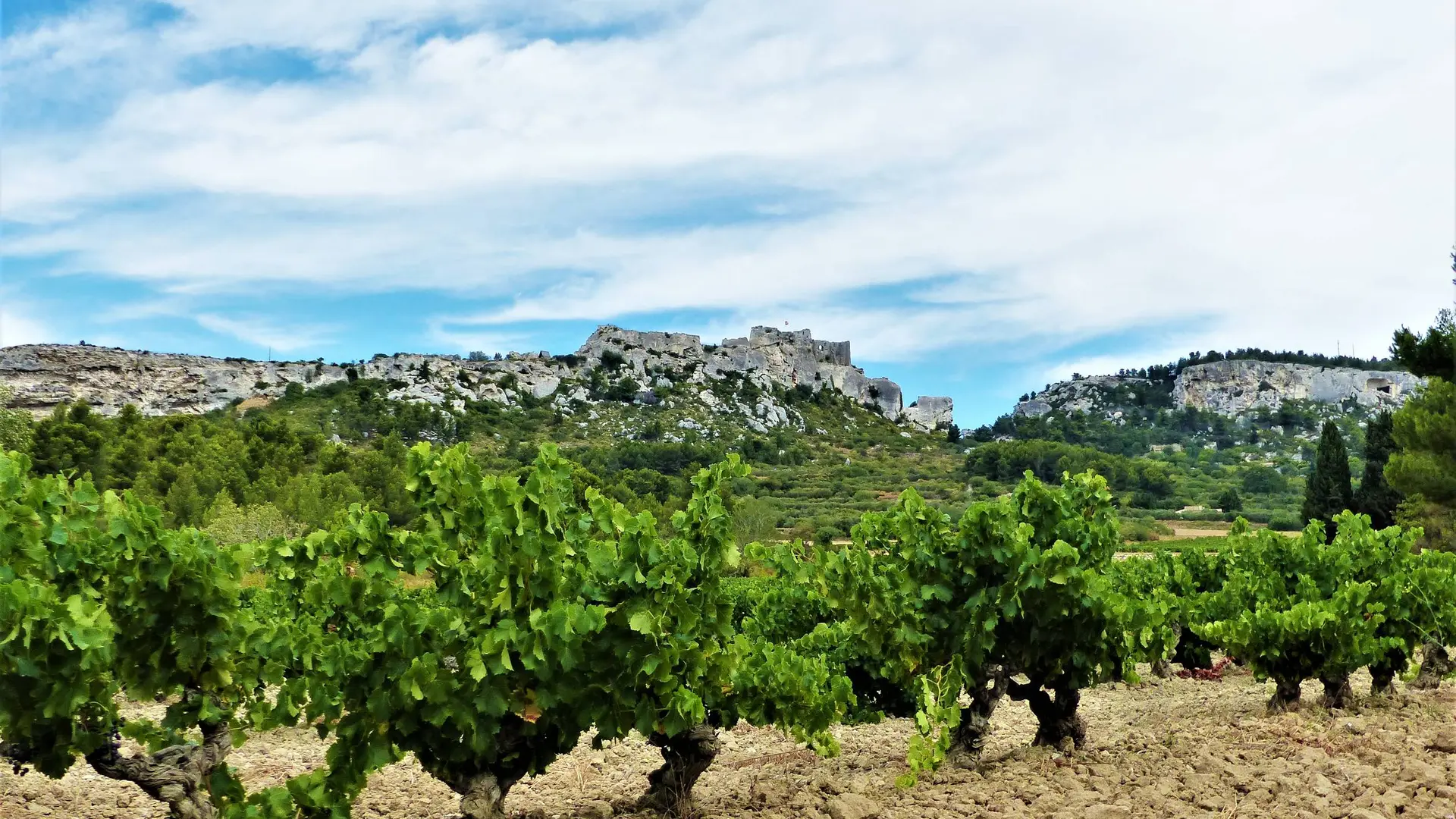 Vignobles AOP Les Baux-de-Provence