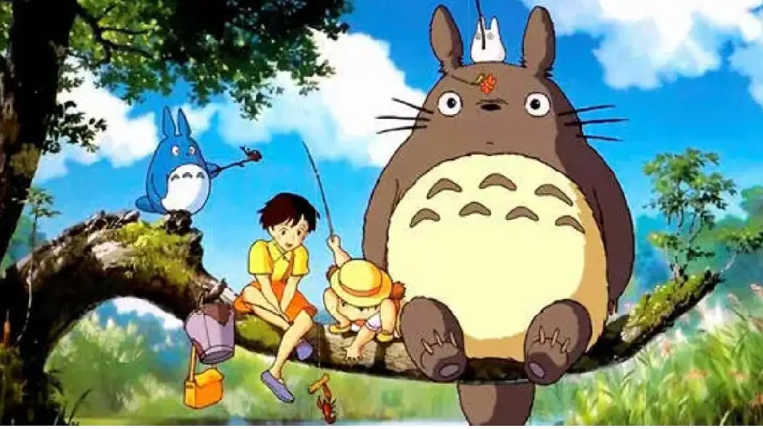 Mon voisin Tortoro