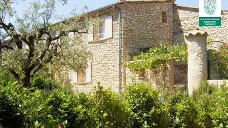 Gite l'Olivier