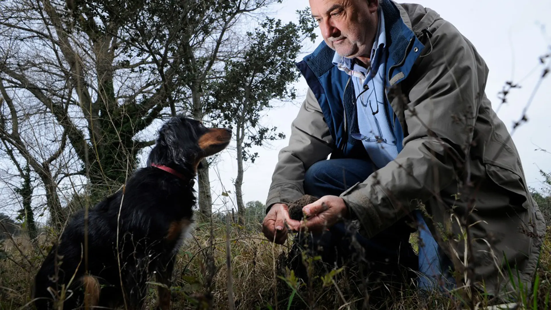 Domaine de Montine. Cavage avec le chien