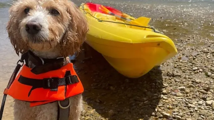 Le kayak en Ariège Occitanie avec mon chien