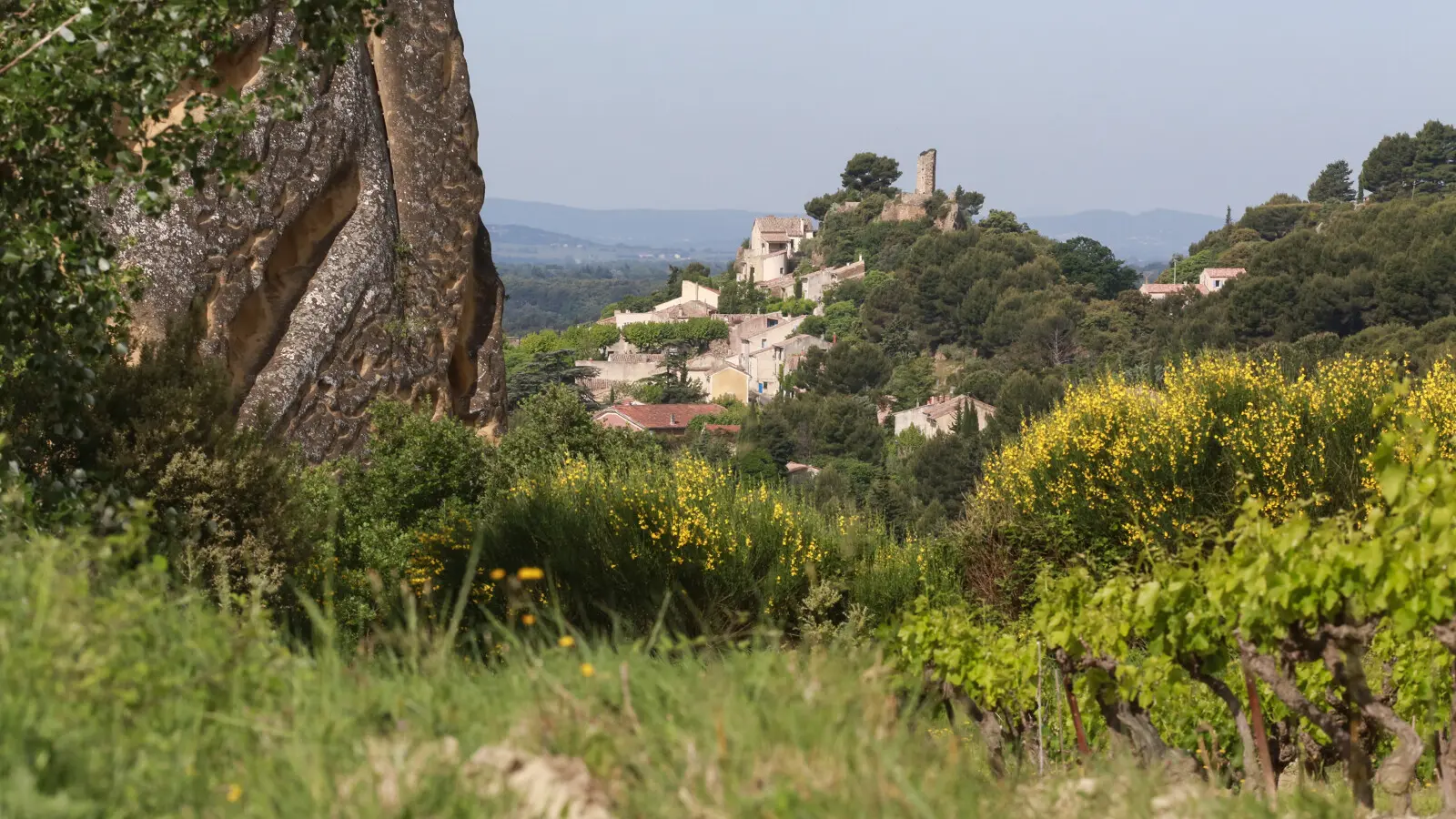 Beaumes de Venise