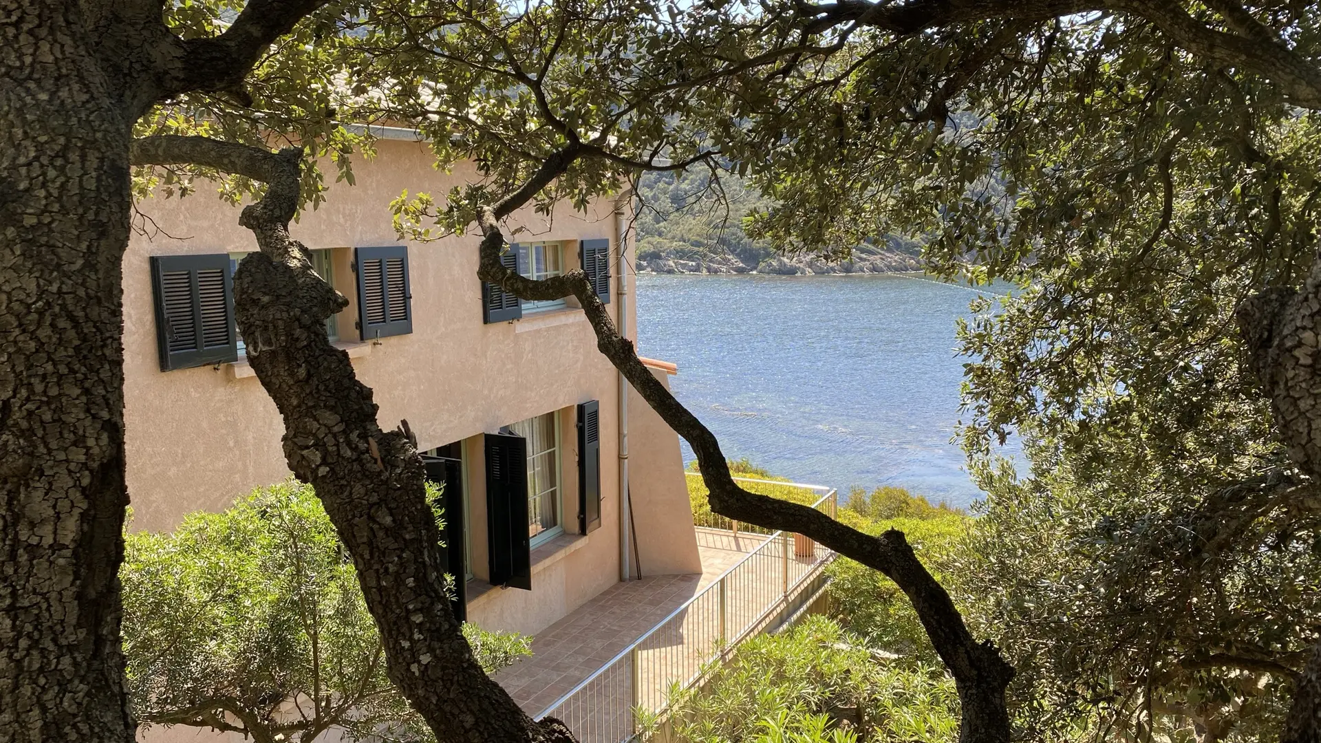 la vue depuis la terrasse dans le jardin