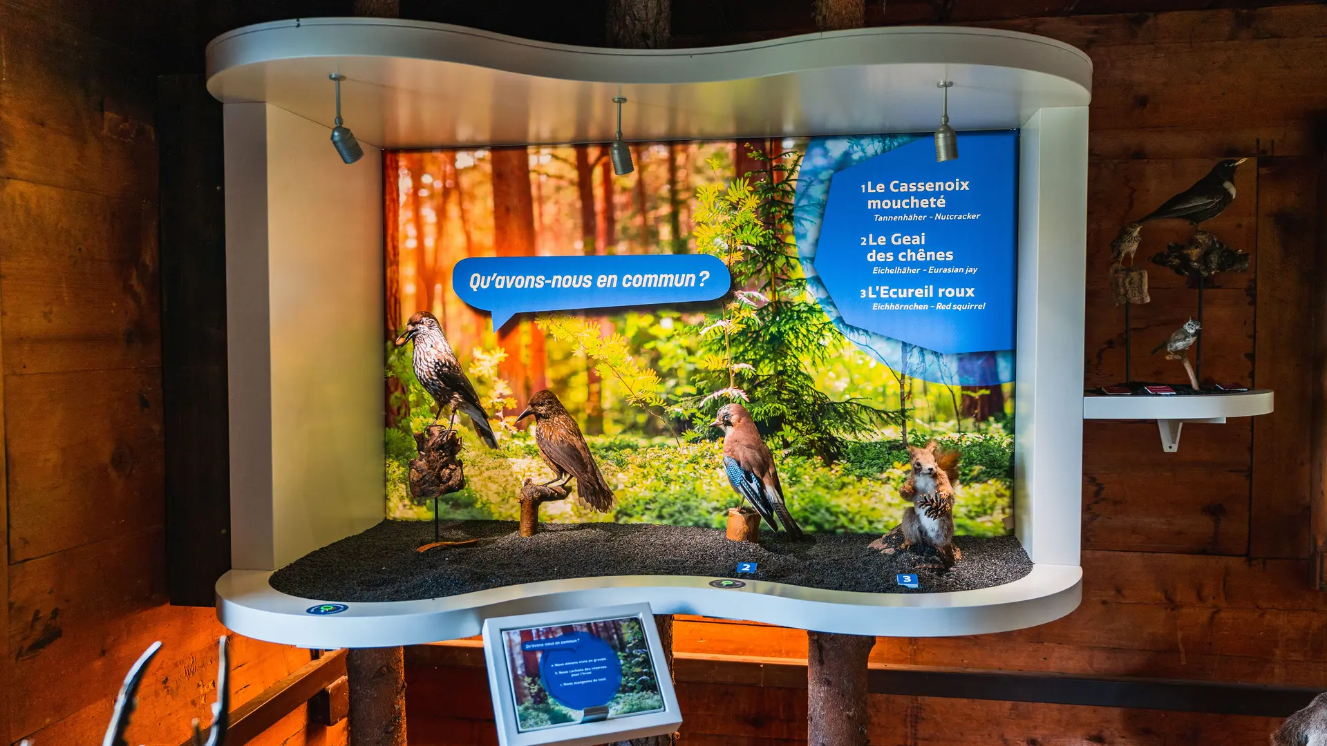 Exposition à la maison de la Forêt La Tzoumaz