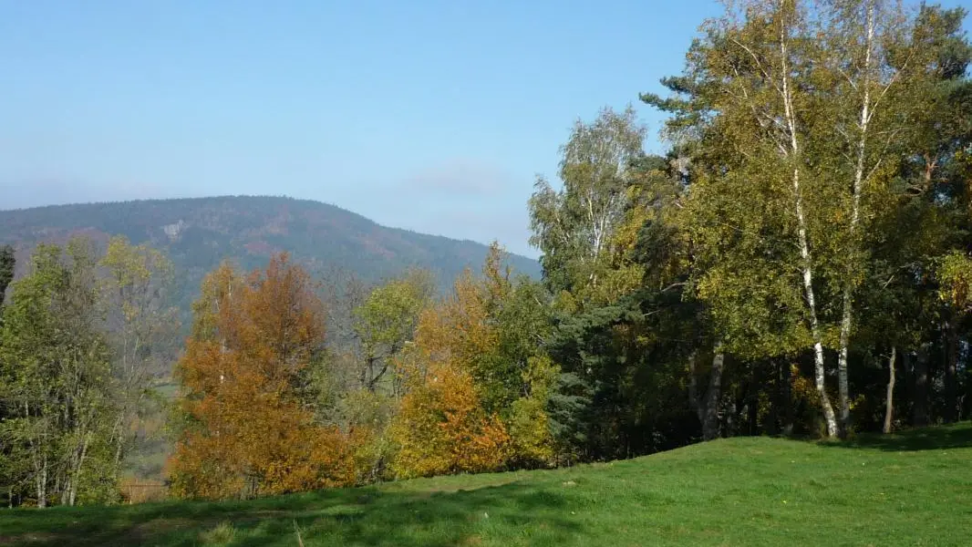 paysage d'automne