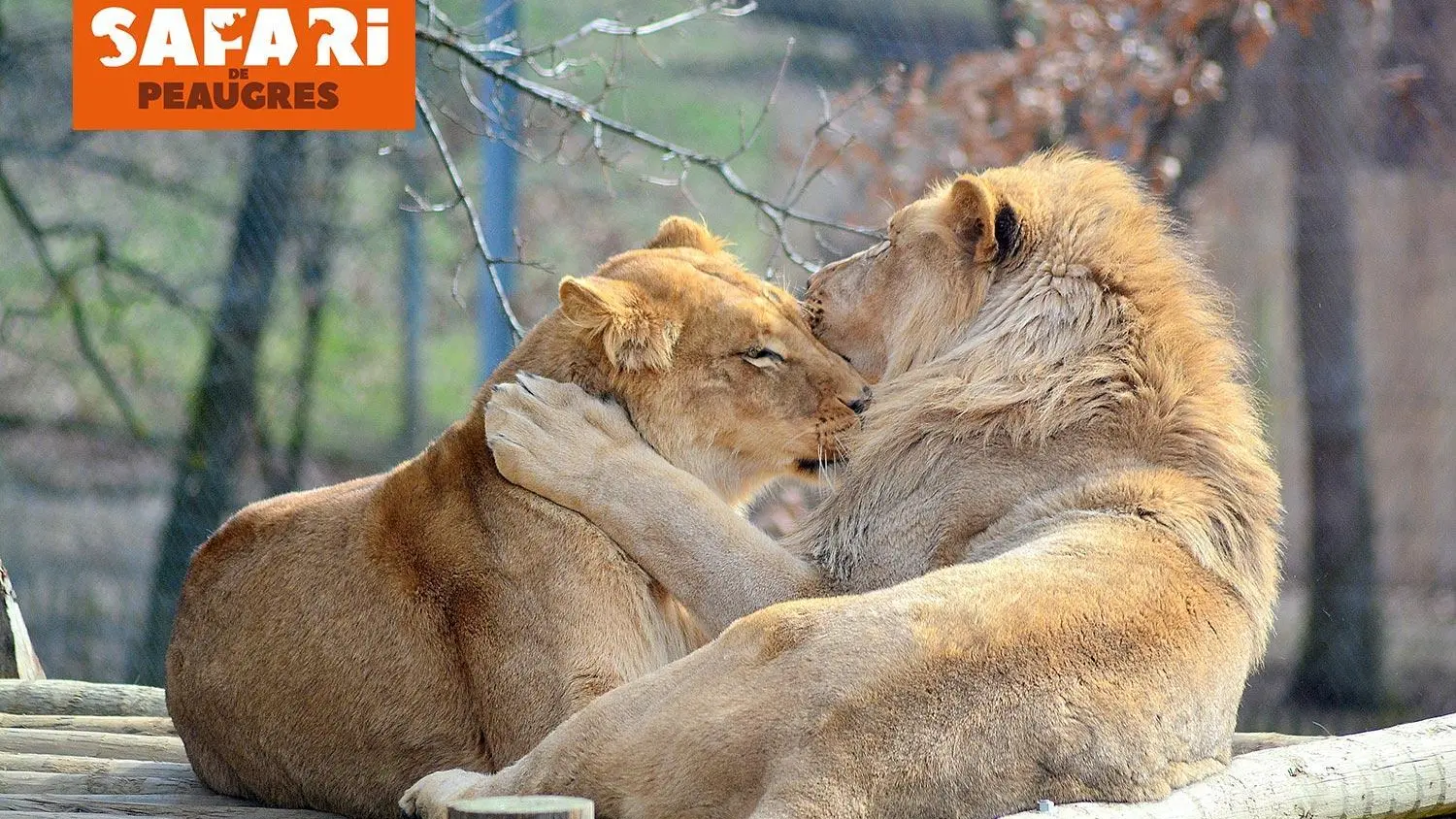 Parc animalier à Peaugres (Ardèche)