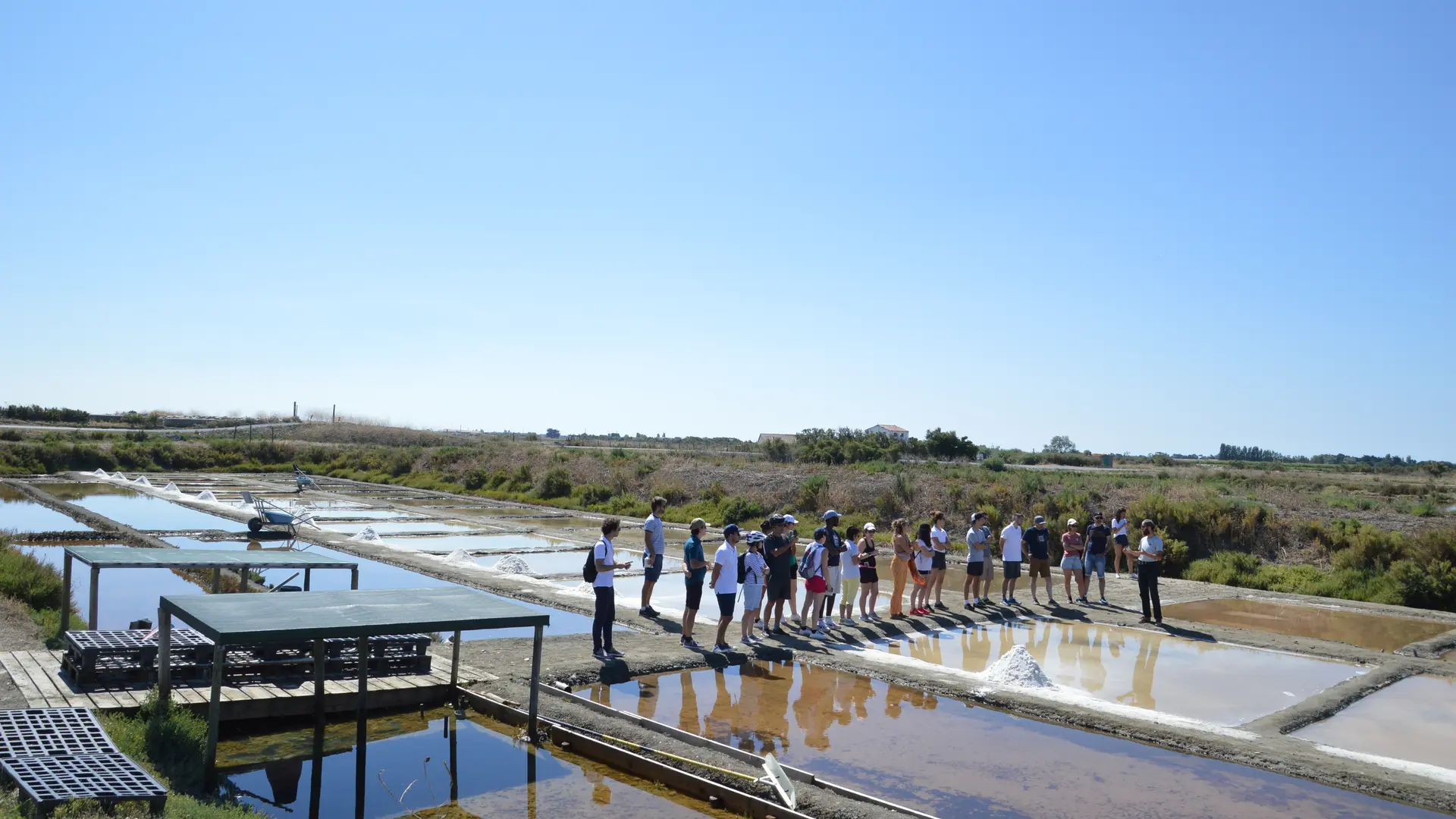 Découverte de « l'or blanc » de l'île de Ré