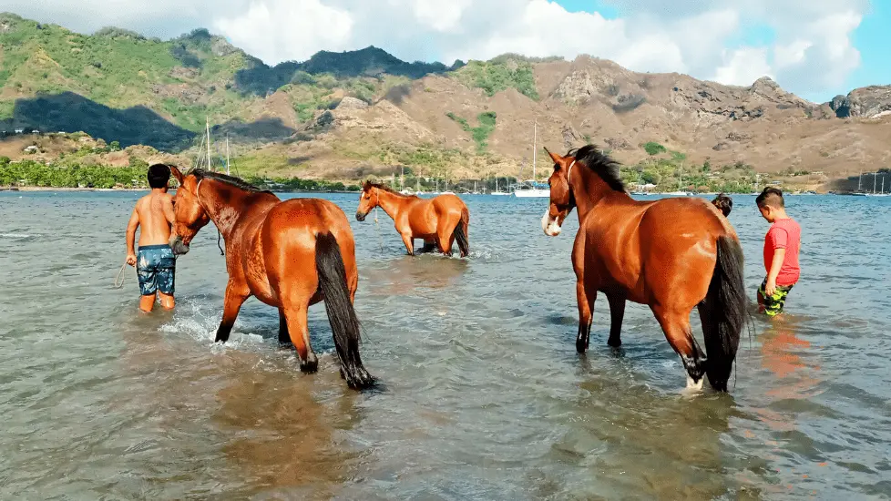 Nuku Hiva A Cheval