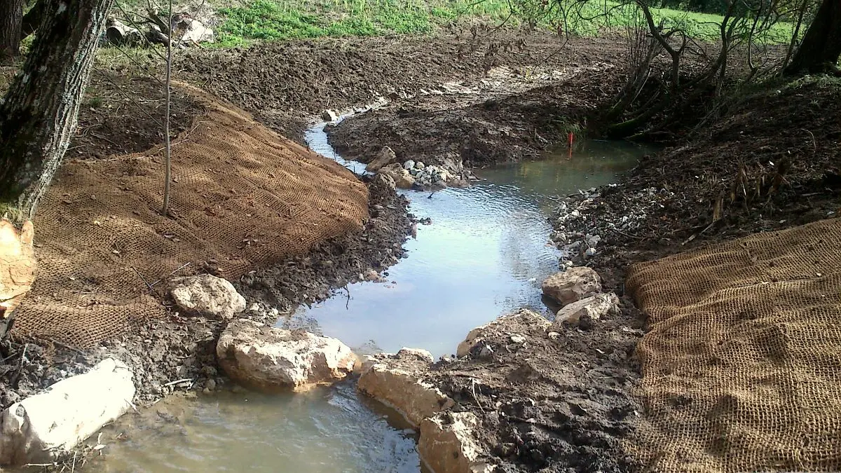 Restauration du cours d'eau Marais du Nécuidet