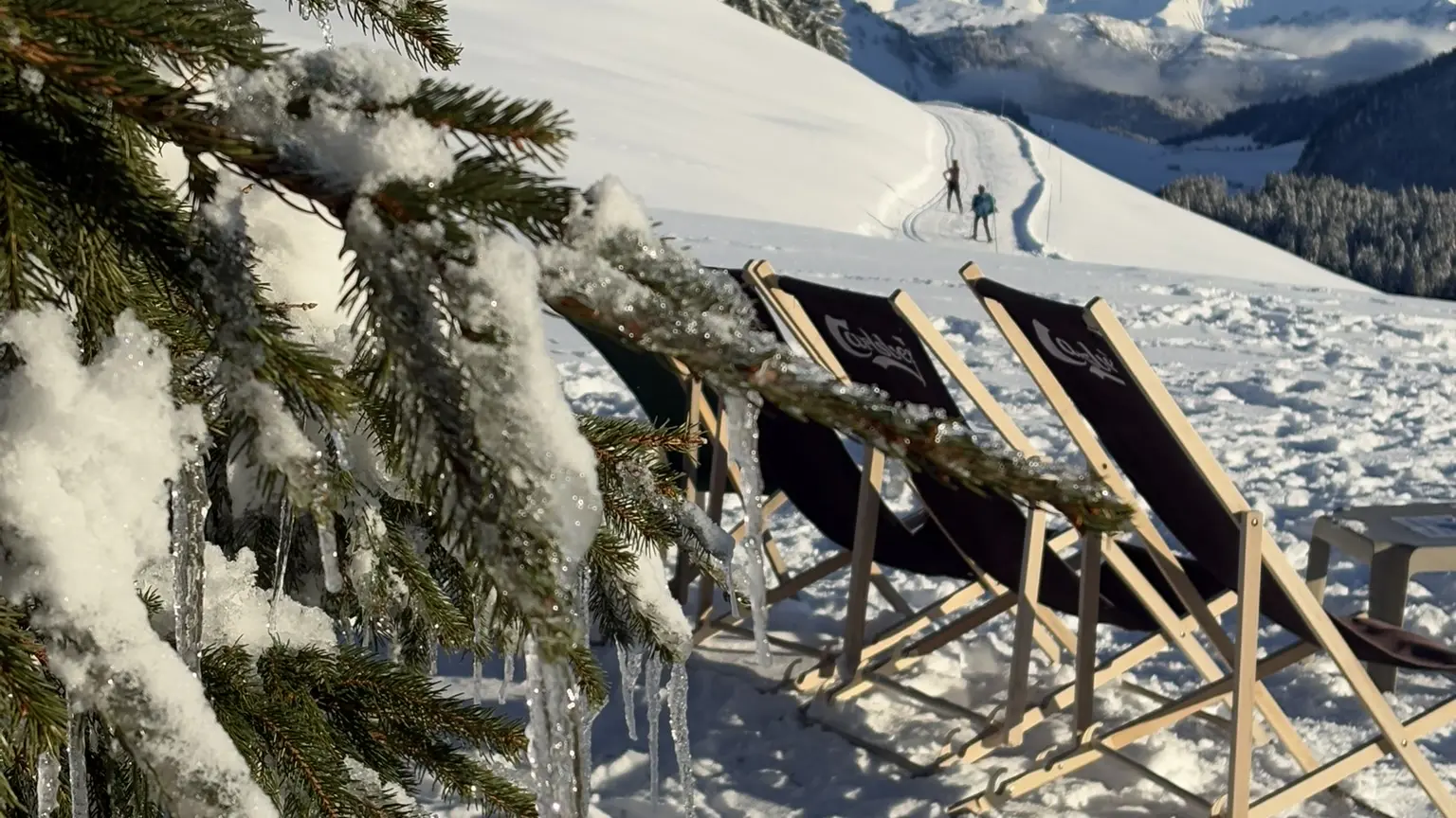 Transats bord de piste de ski de fond