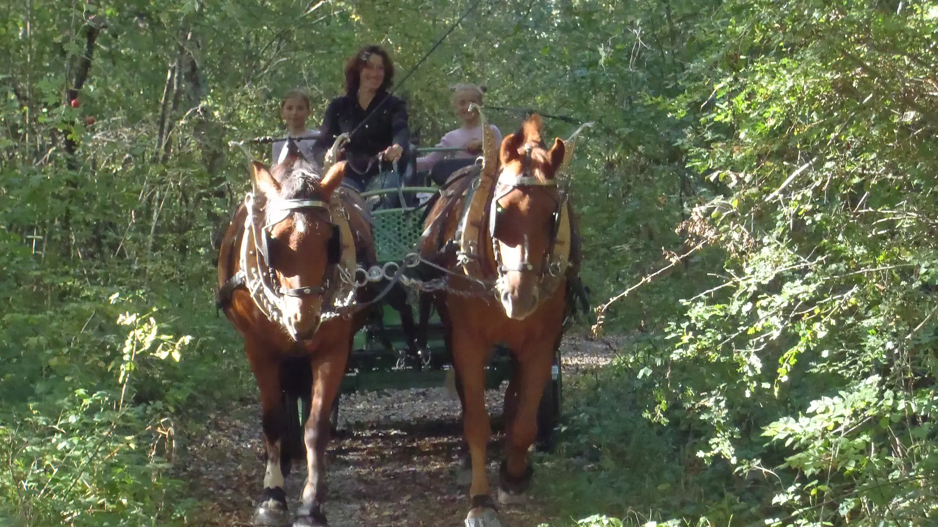Balade en calèche dans les Clues de Barles