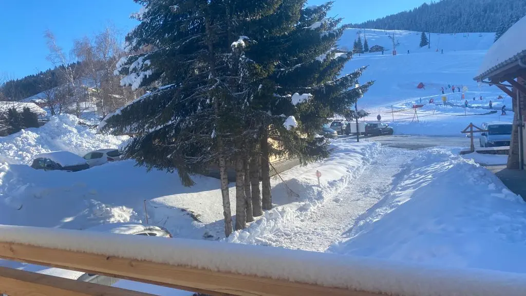 Vue du balcon sur les pistes de ski