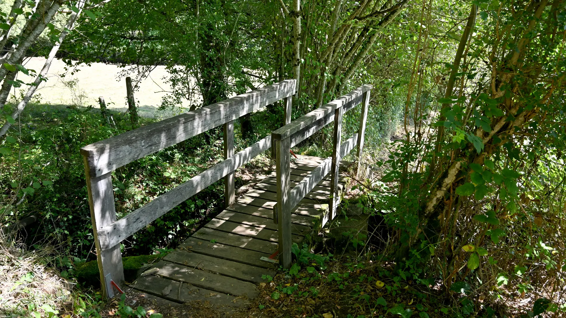 Passerelle en bois sur le chemin