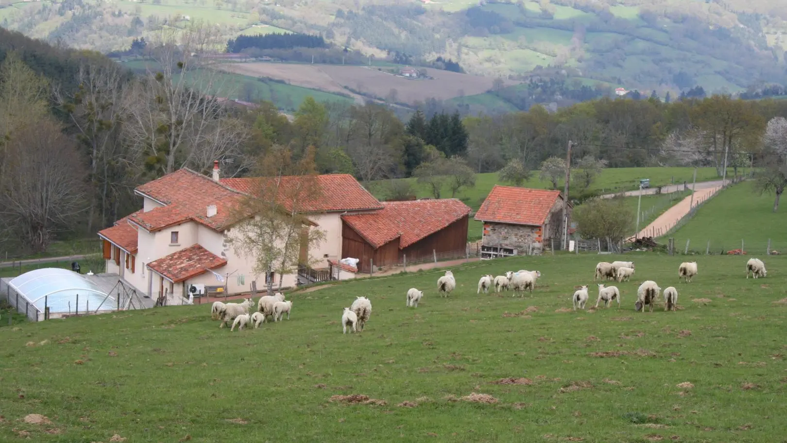 vue sur la maison et bâtiments agricoles, maison indépendante en pleine nature, entourée de grandes prairies