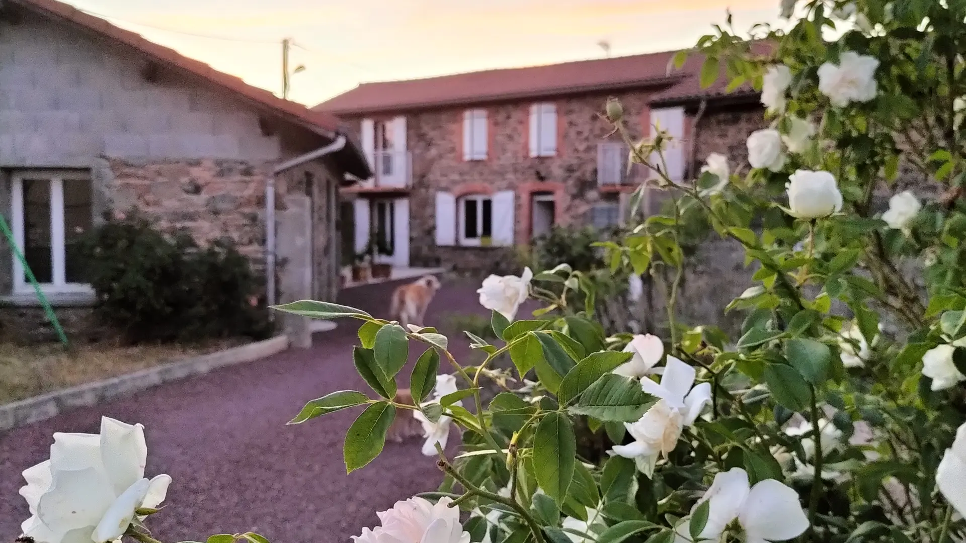 Cour et devant de la maison