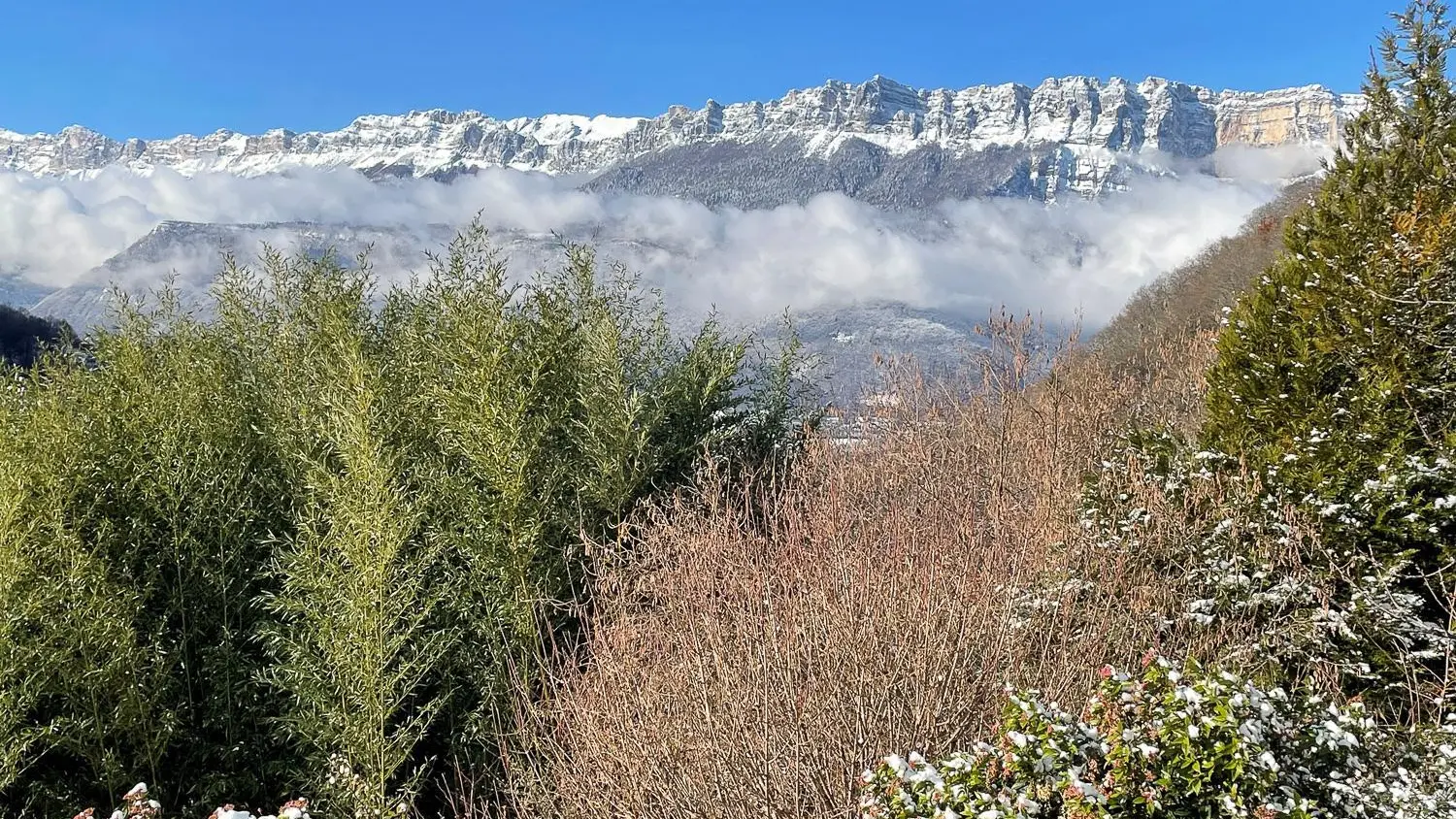 Vue sur la chartreuse du jardin de la propriété