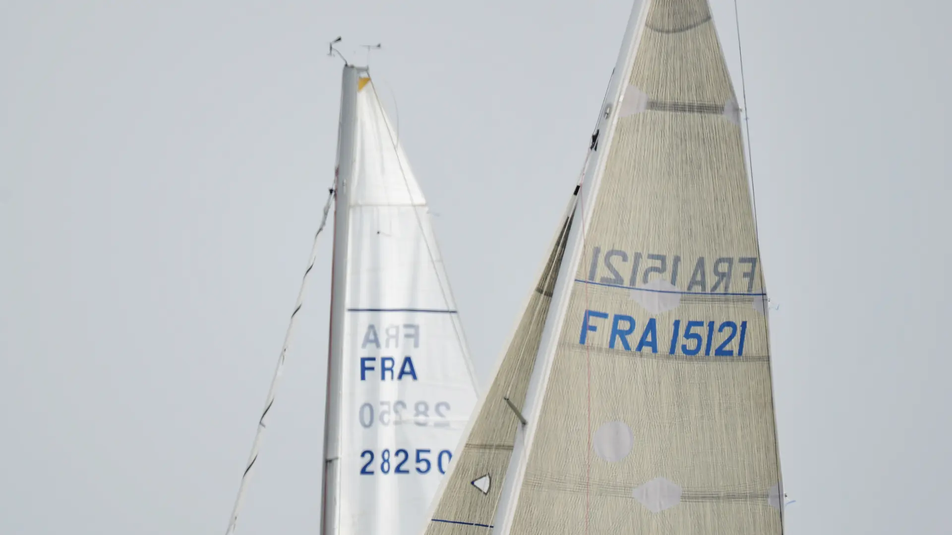avant la course à la voile