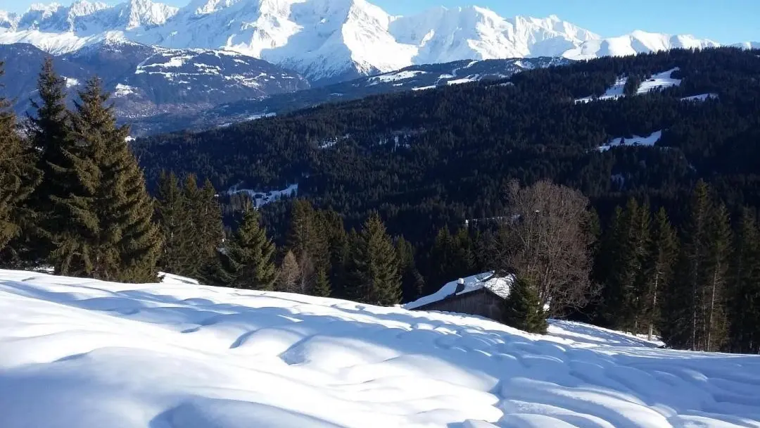 Sortie raquette un peu au-dessus de notre chalet