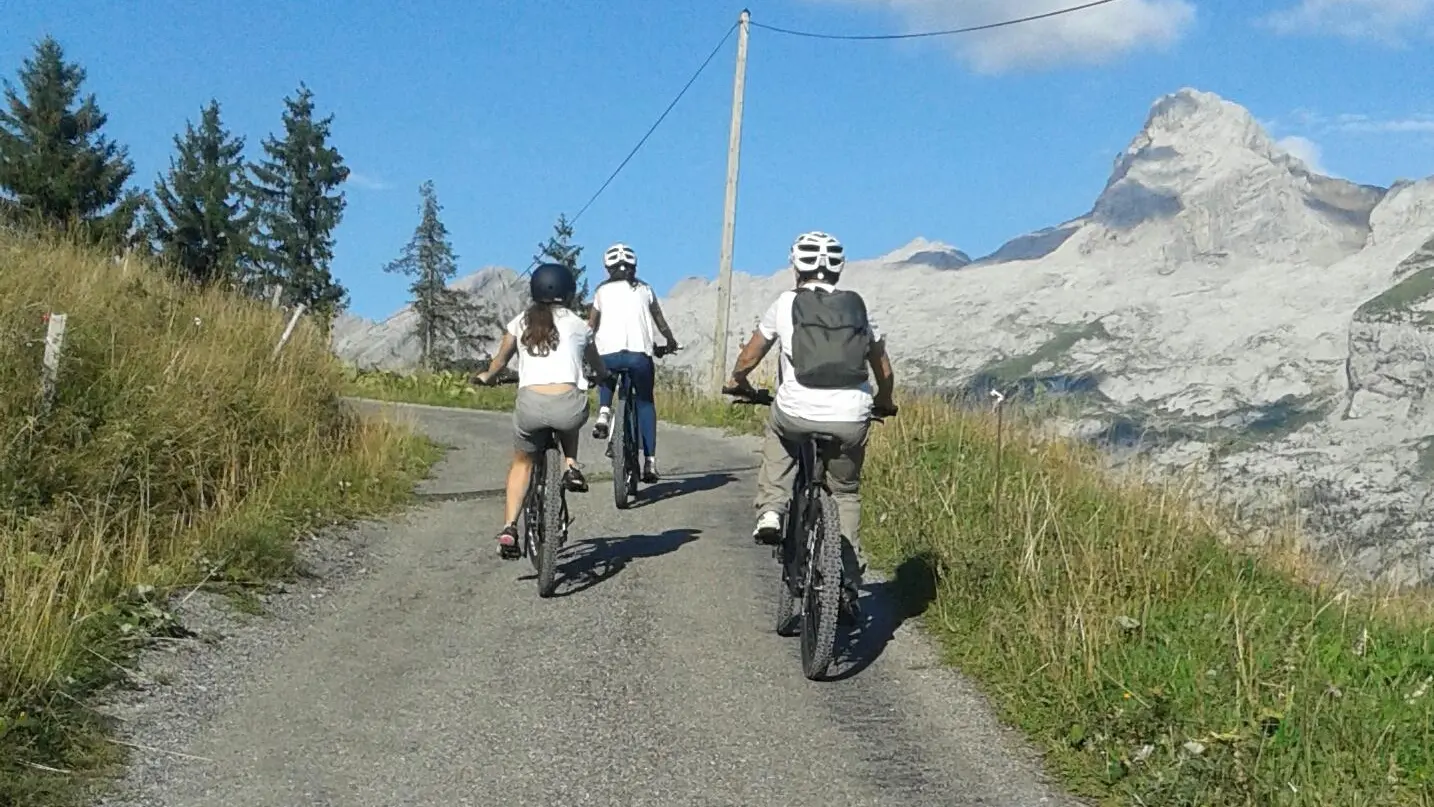 VTT électrique au Grand-Bornand