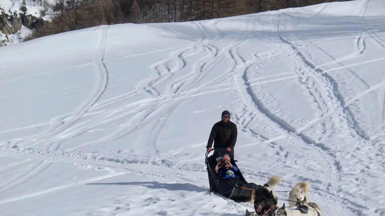 Balade en traîneau à chien avec Banquise Traîneau
