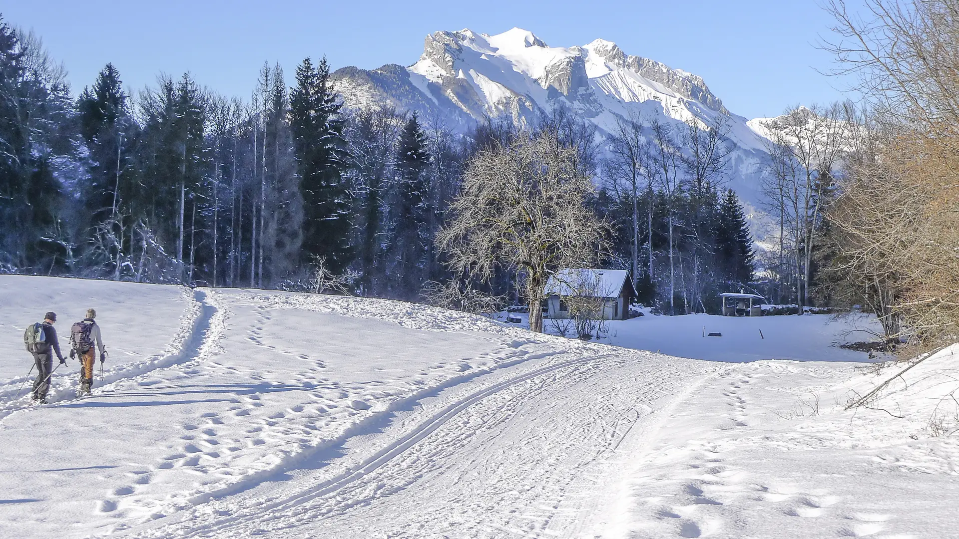 Piste de ski de fond Val de Tamié