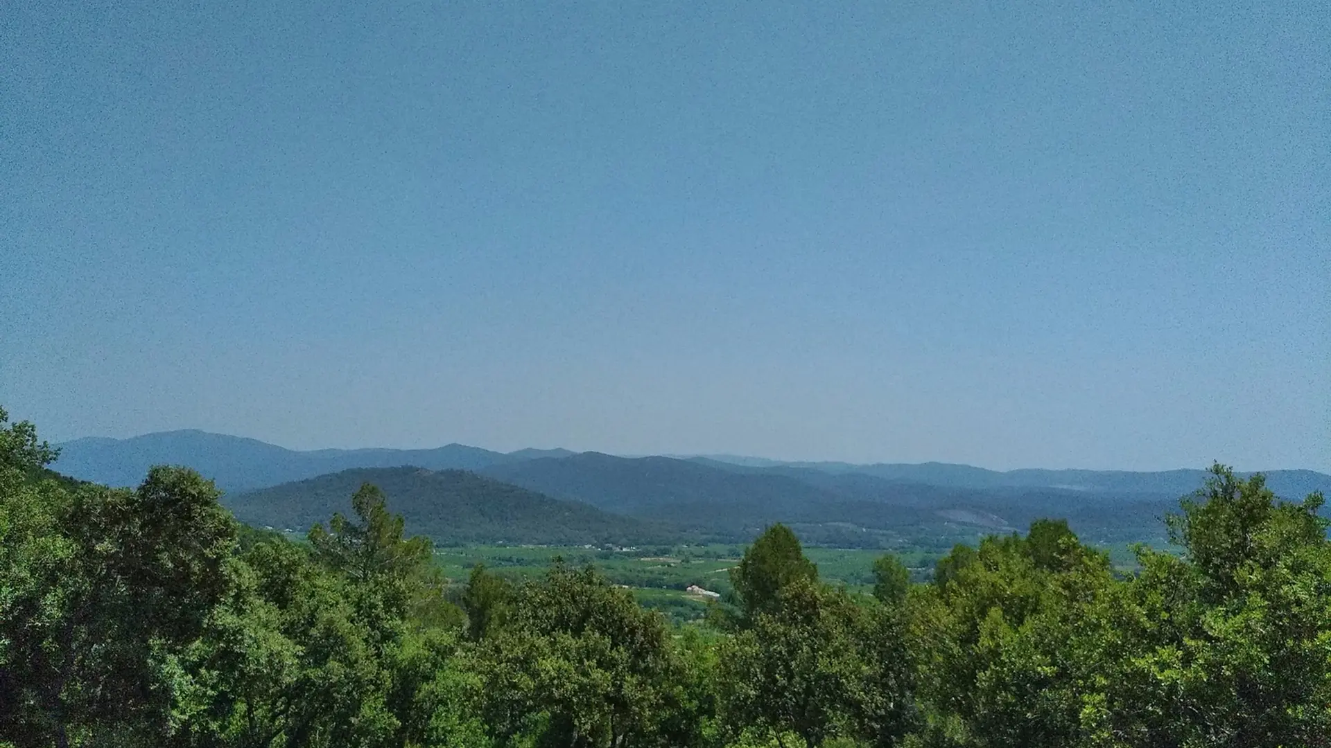 Panorama sur le massif forestier et les collines environnantes