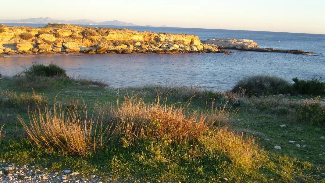 Le long du GR sur la côte bleue