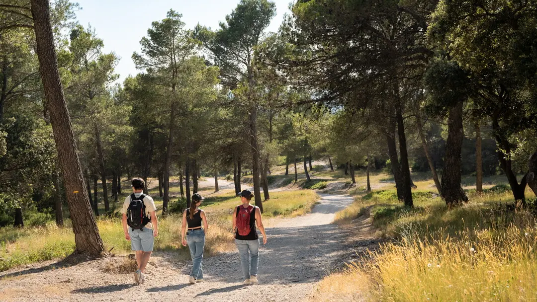 Balade la Parisienne, Velleron