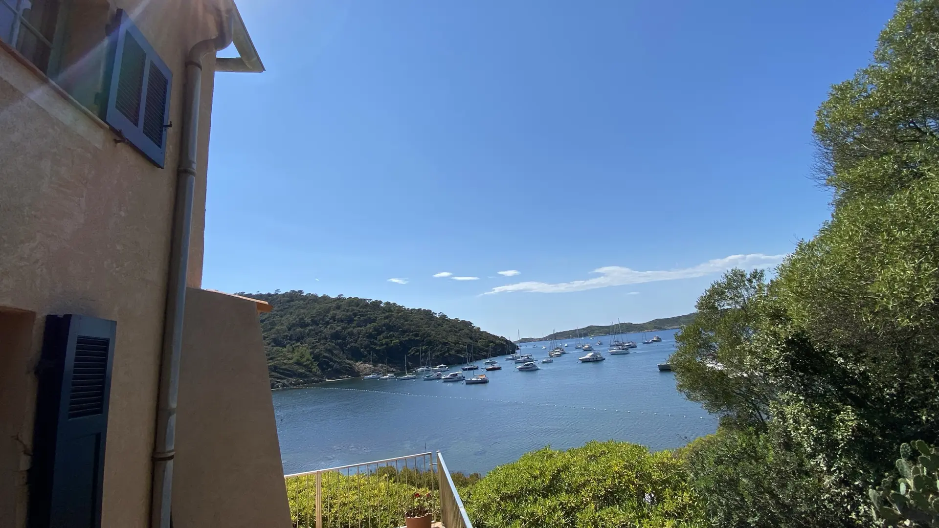 la vue depuis la terrasse dans le jardin