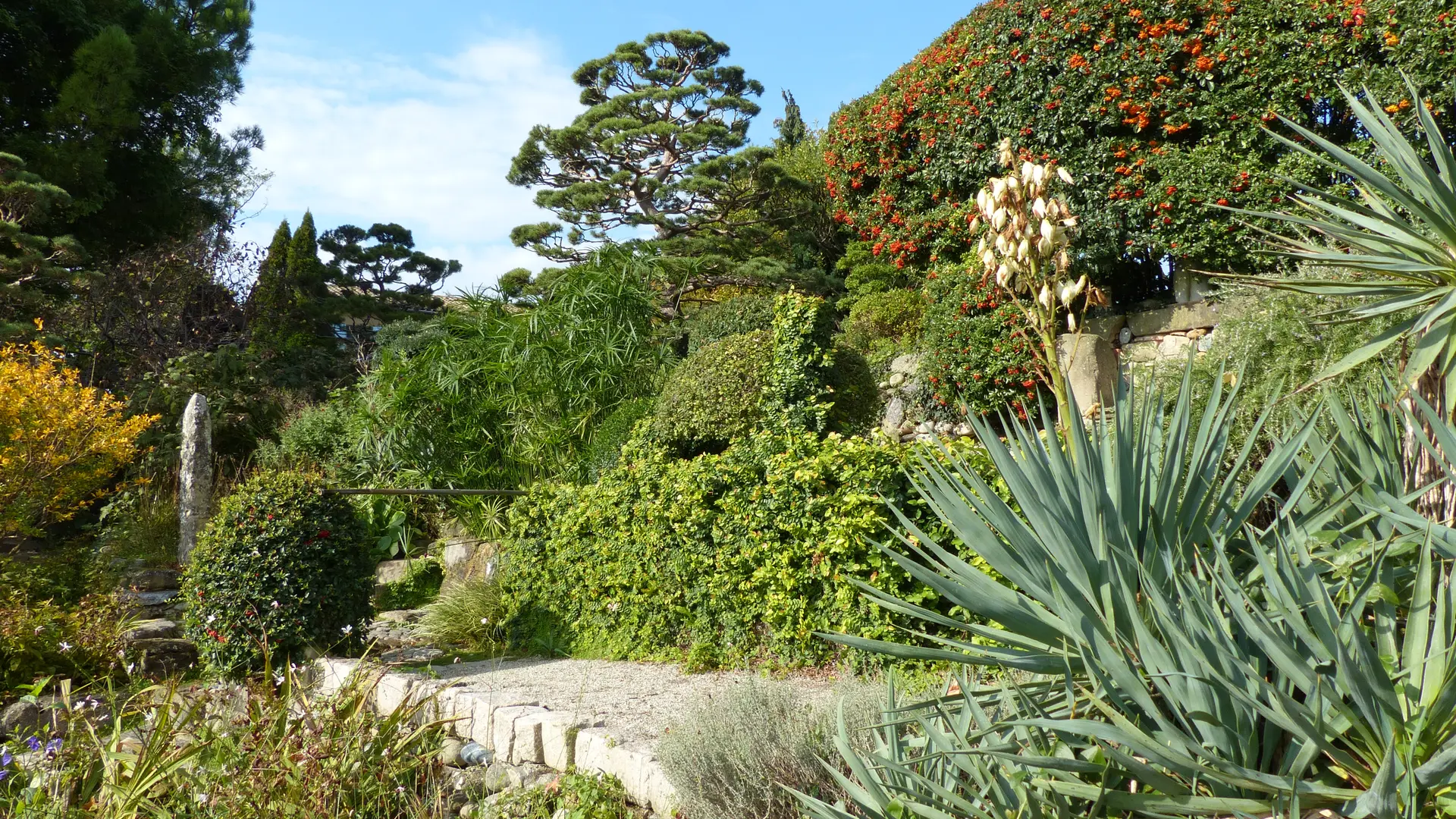 Jardin zen