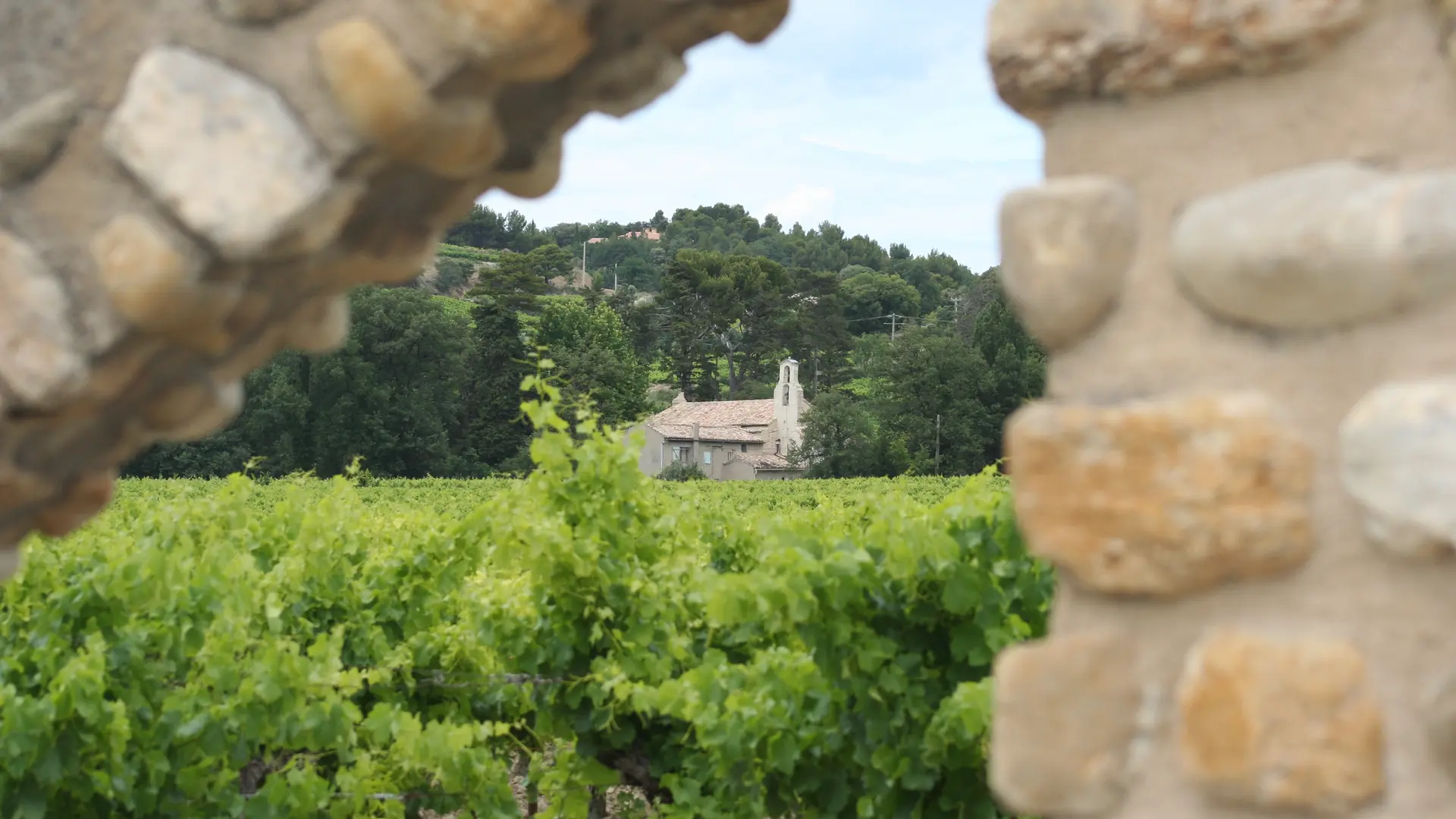 Dans les vignes - Chapelle Notre-Dame des Vignes