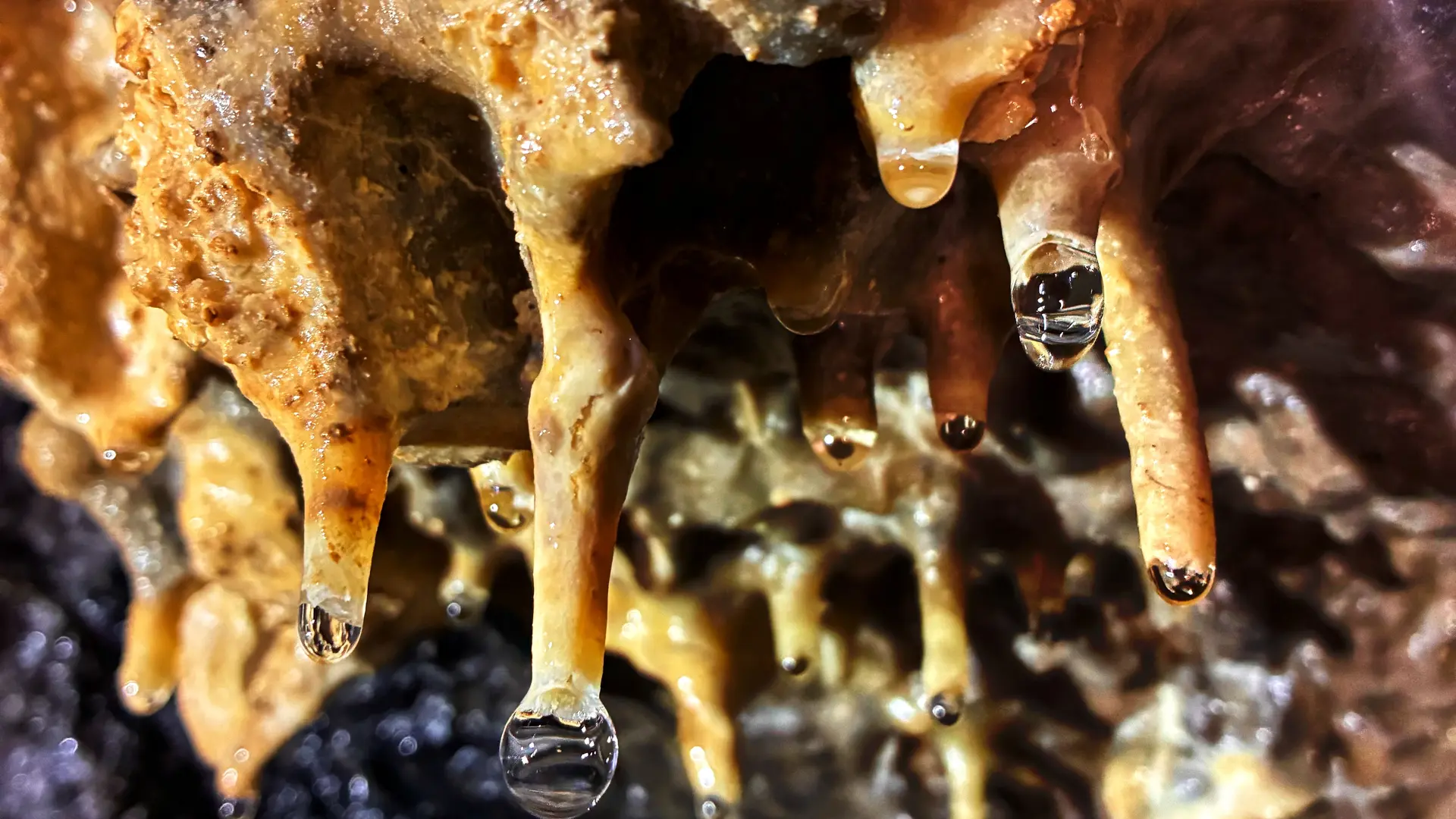 Comprendre l'eau et son cheminement...