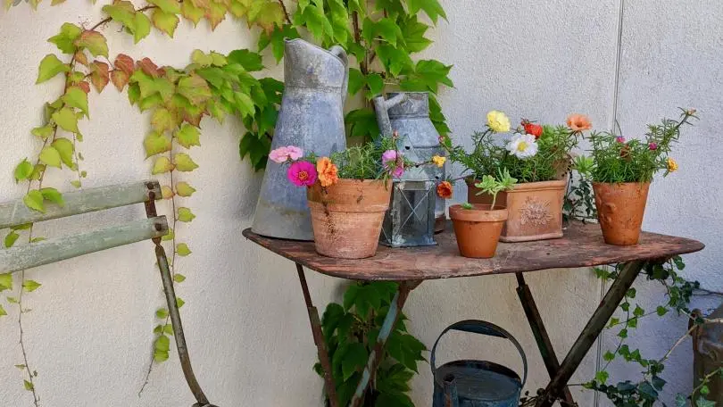 Jardin brocante