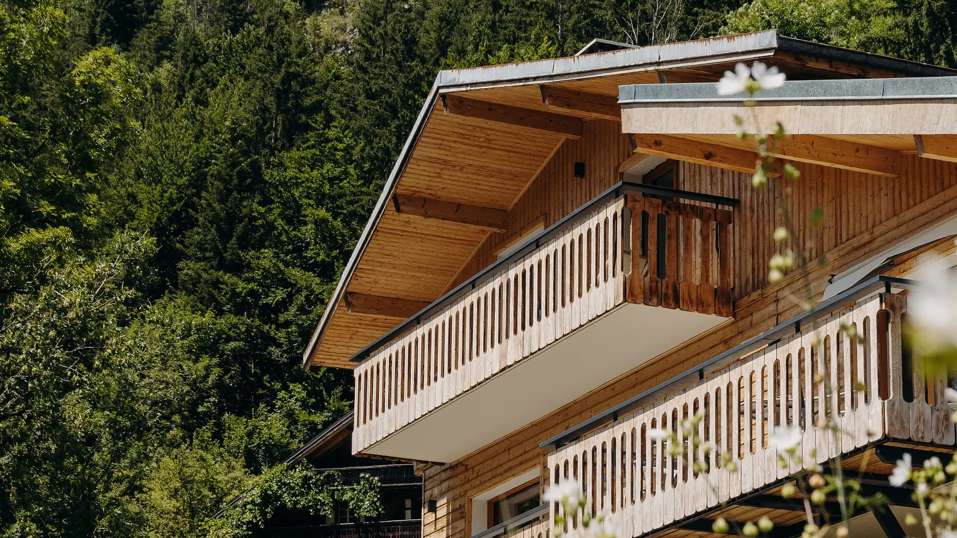 Image Chalet Flachaire