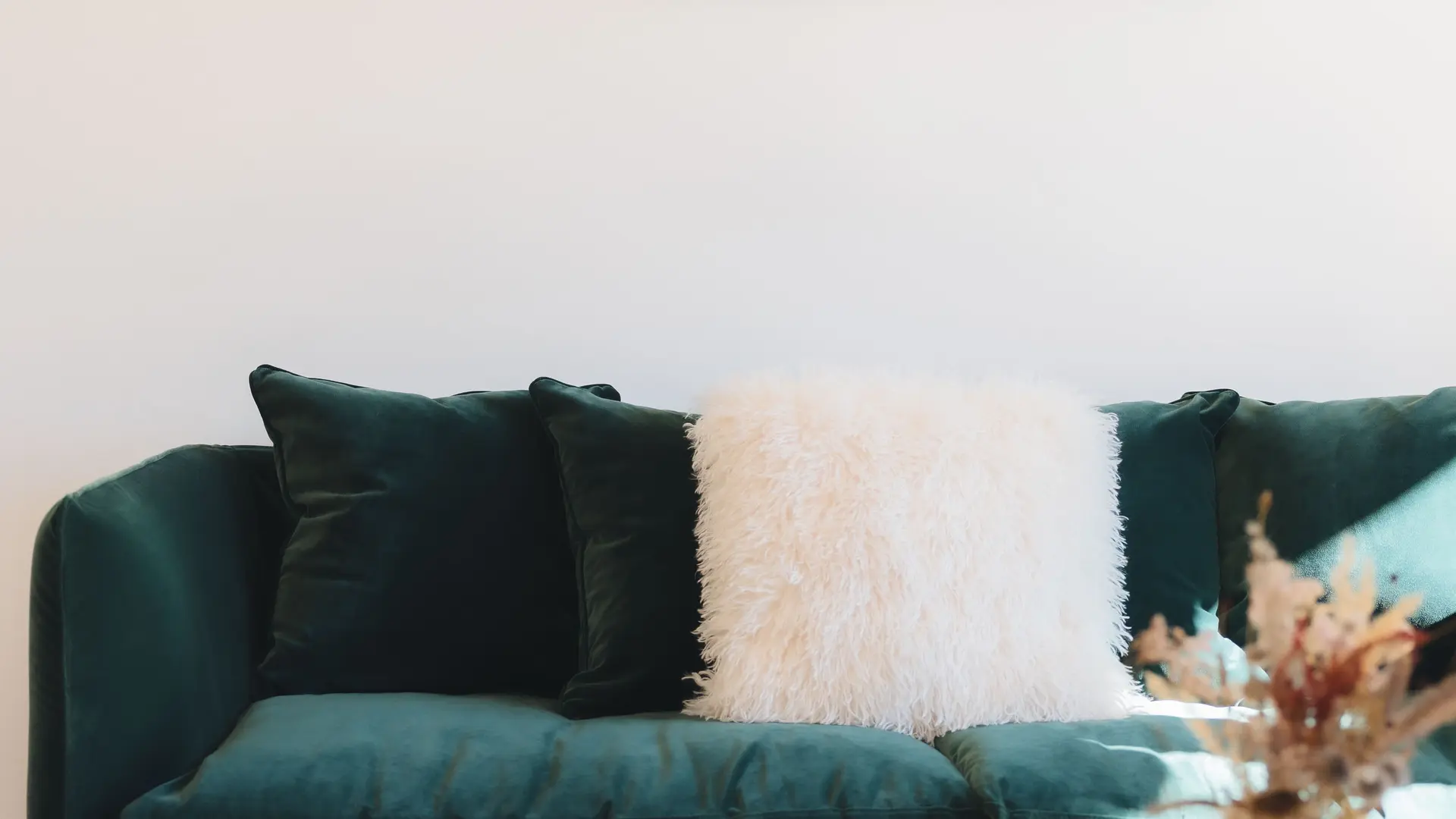 Image salon vert sapin Chalet Flachaire