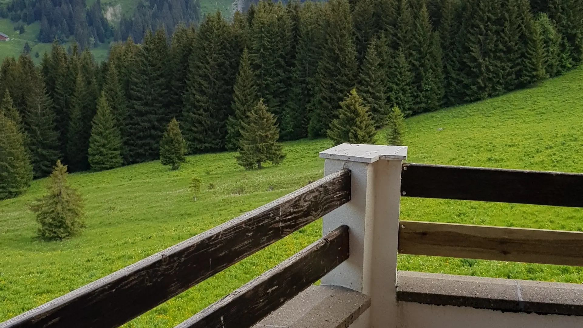 Vue depuis la terrasse