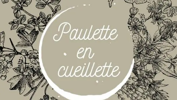 Paulette en cueillette - Productrice de plantes médicinales et aromatiques