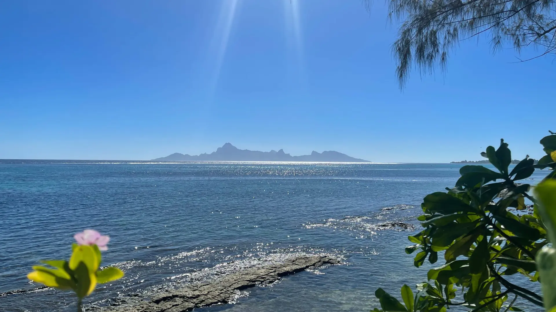 Villa Coco Lagoon - Tahiti Homes