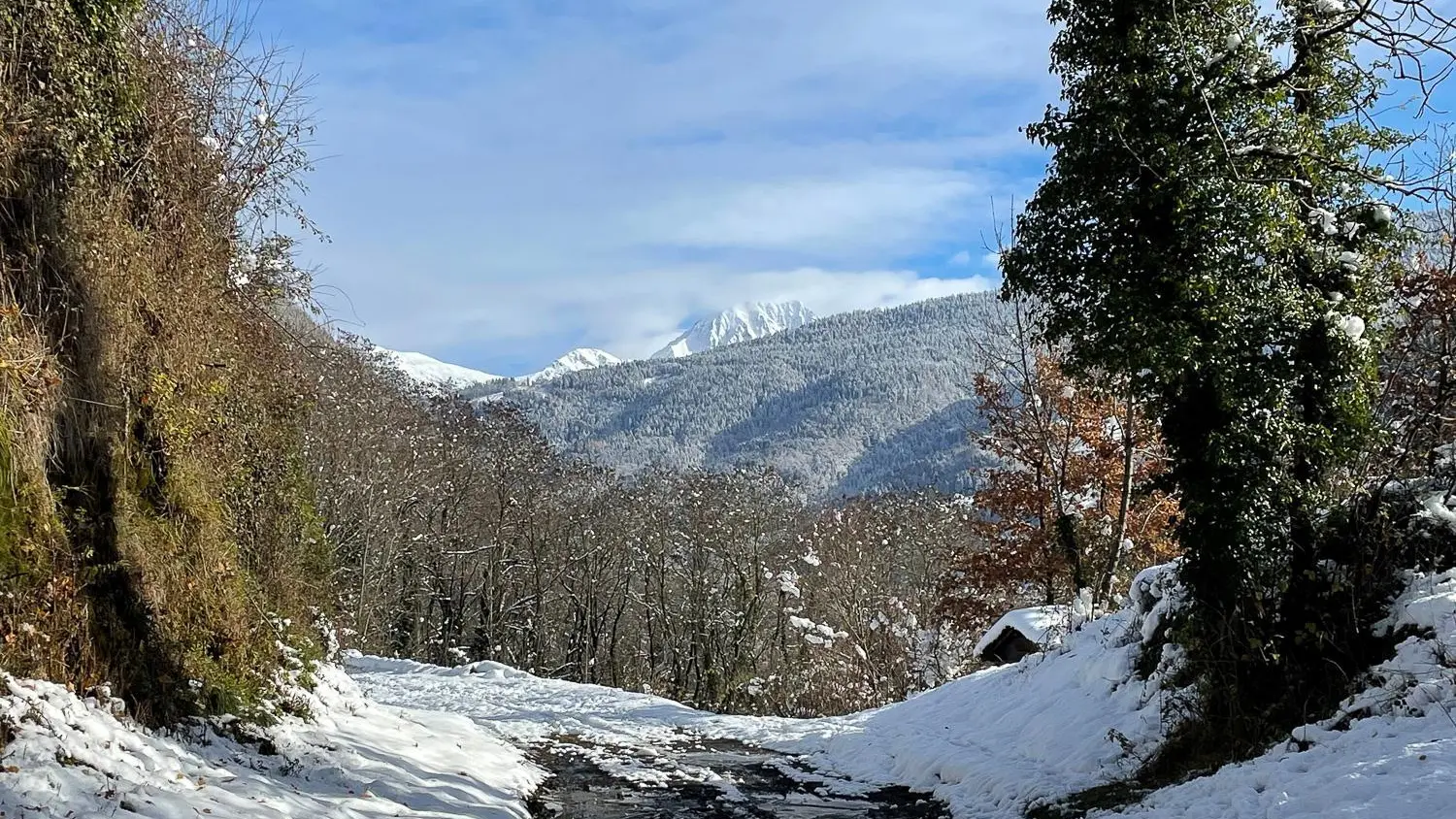 Balades en forêt près du gîte
