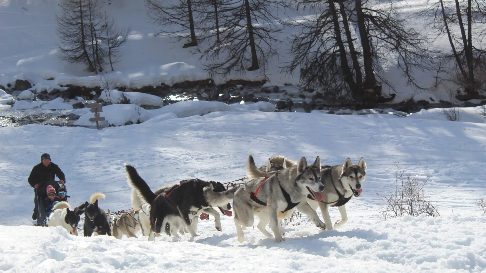 Balade en traîneau à chien avec Banquise Traîneau