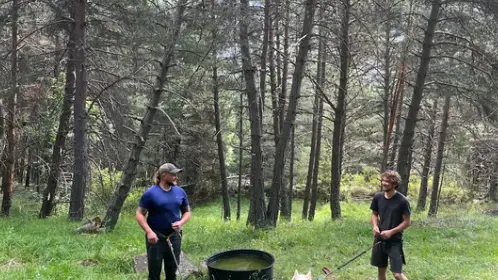 Cani randonnée immersive avec Banquise Traîneau