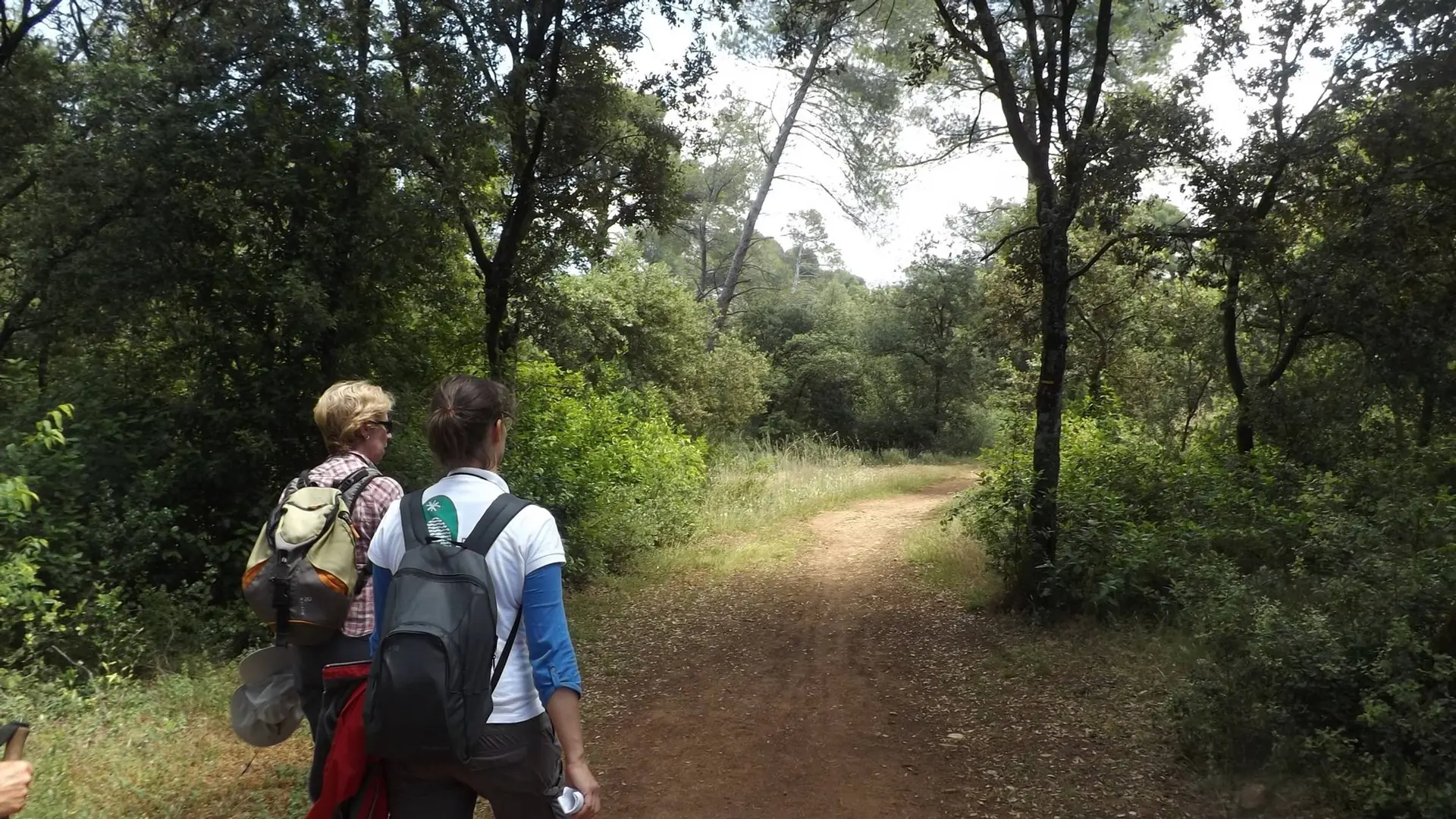 En chemin sur La Garrigue