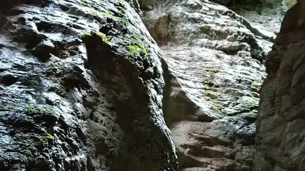 Un lieu secret où la nature règne en maître.