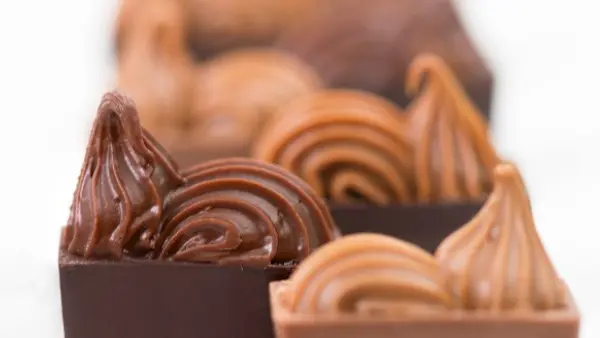 Chocolaterie Puyricard_L'Isle-sur-la-Sorgue gros plan sur chocolats lait et noir