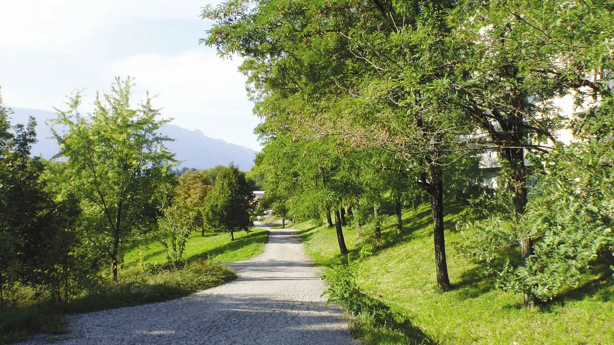 Parc du Talweg