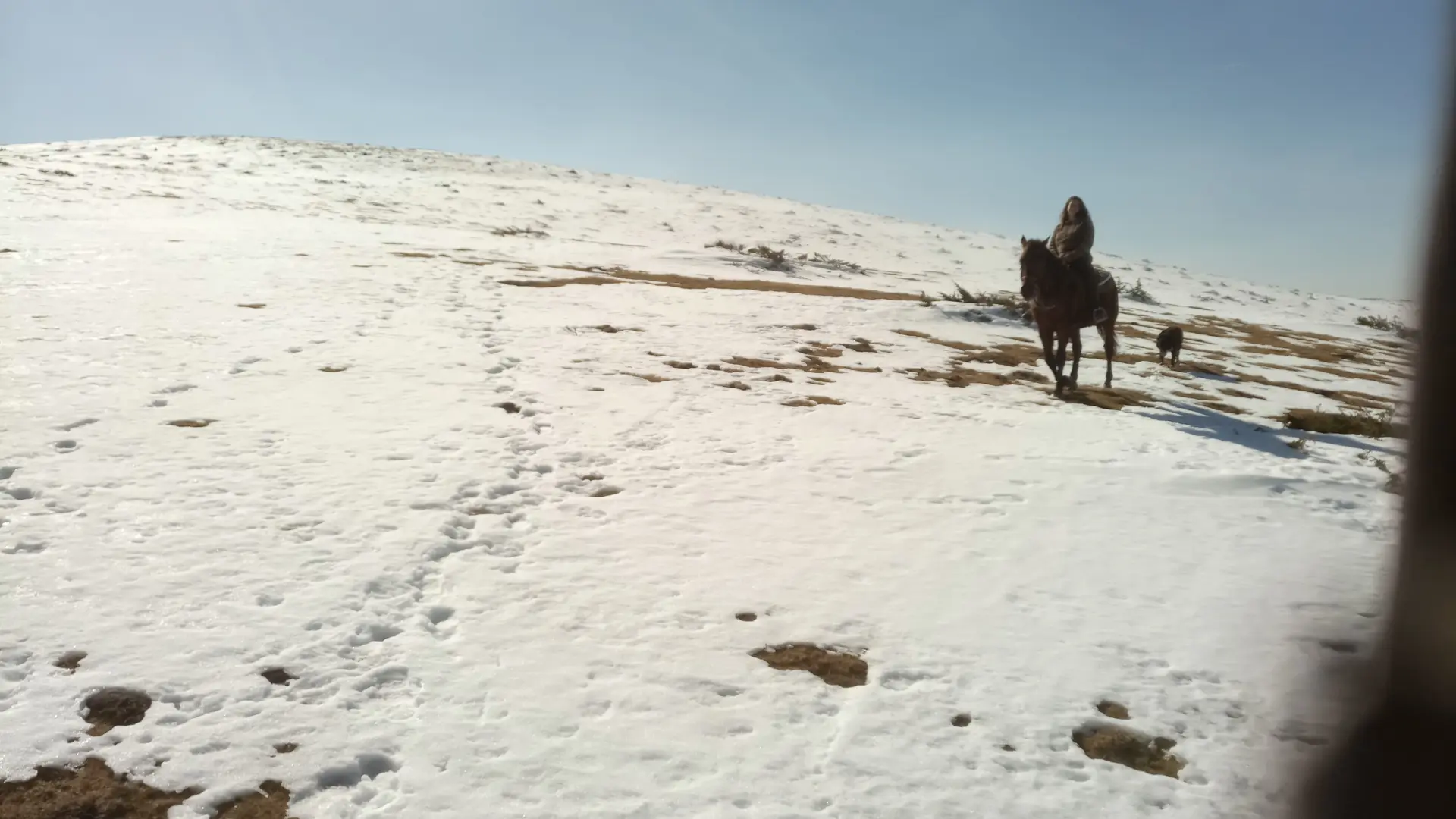 Balade dans la neige